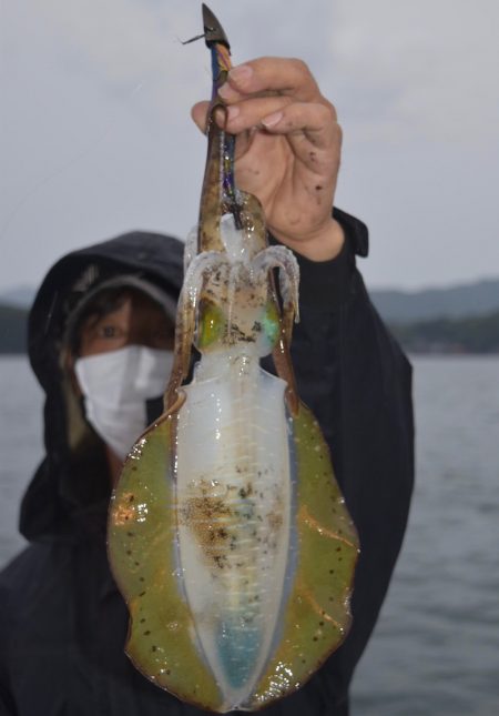 渡船屋たにぐち 釣果