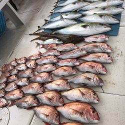 大雄丸 釣果