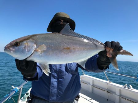 ランスルー 釣果