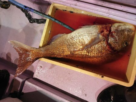 海龍丸（石川） 釣果