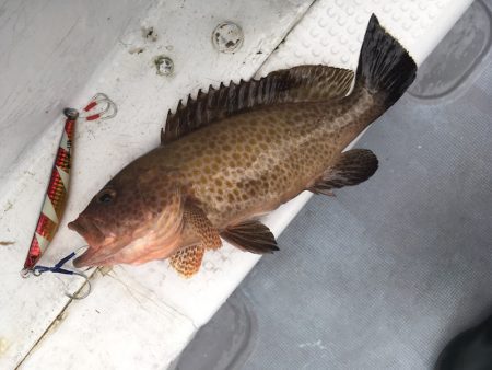 渡船屋たにぐち 釣果