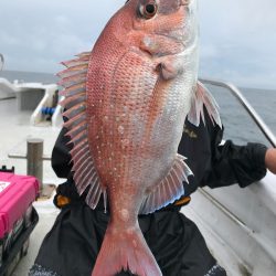 ランスルー 釣果