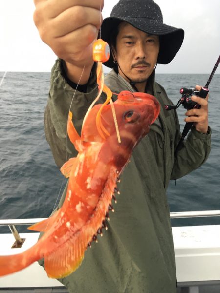 渡船屋たにぐち 釣果