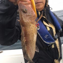 渡船屋たにぐち 釣果