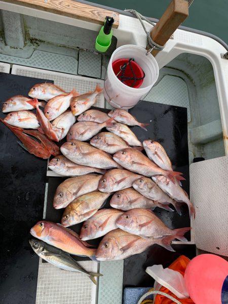 さくら丸 釣果