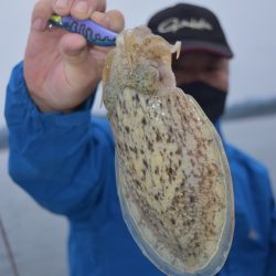 渡船屋たにぐち 釣果