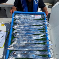 釣人家 釣果