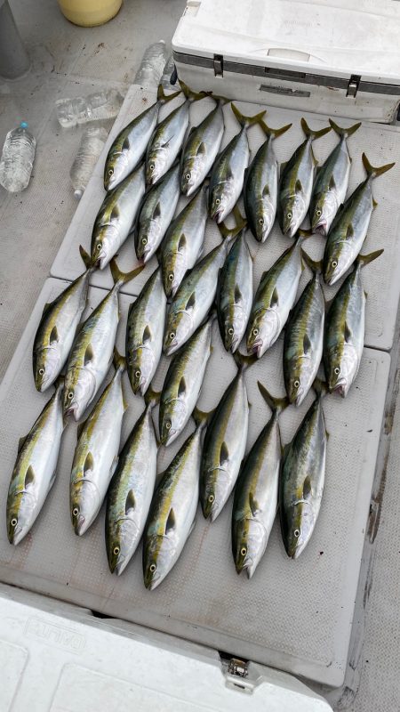 釣人家 釣果