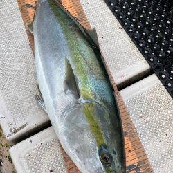 釣人家 釣果