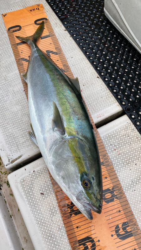 釣人家 釣果