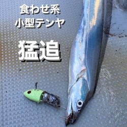 釣人家 釣果