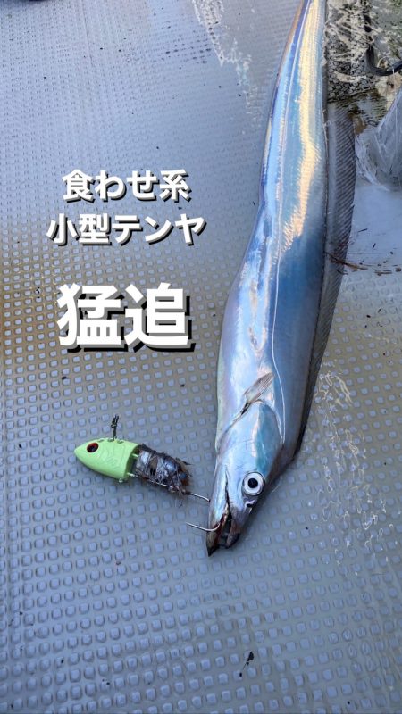 釣人家 釣果