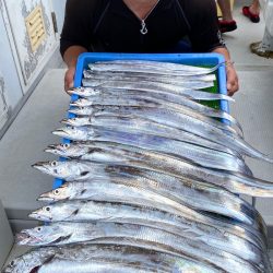 釣人家 釣果