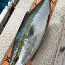 釣人家 釣果