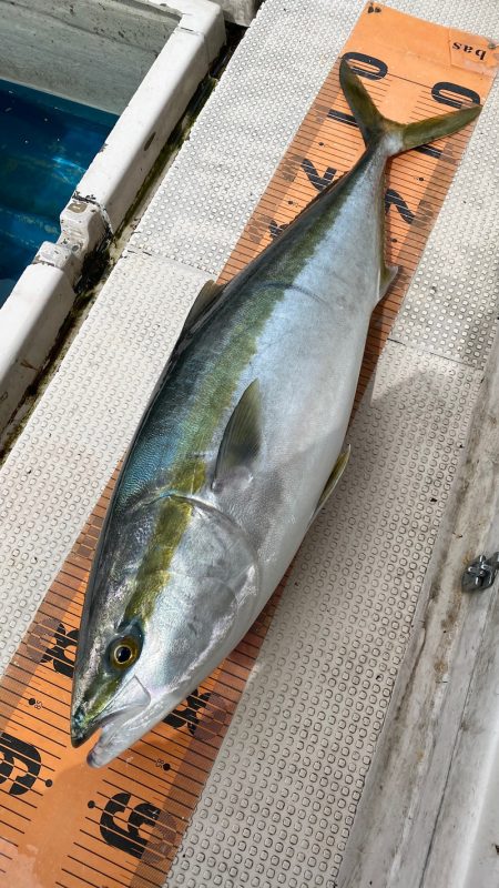 釣人家 釣果