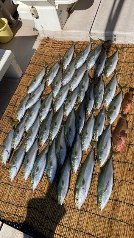 釣人家 釣果