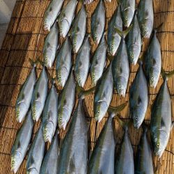 釣人家 釣果