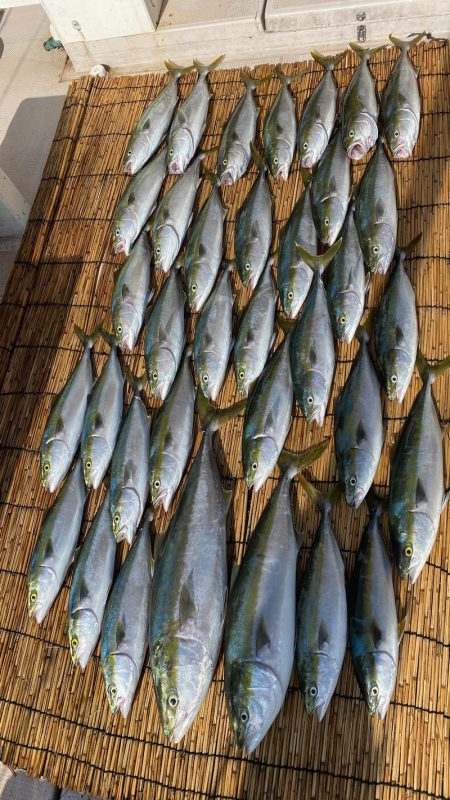 釣人家 釣果