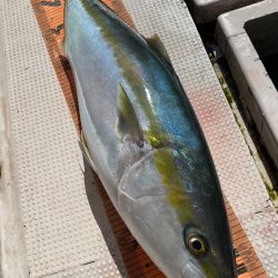 釣人家 釣果