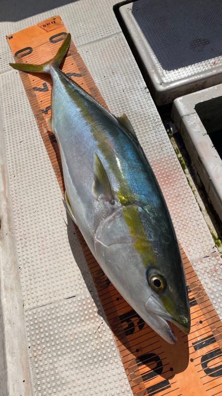 釣人家 釣果