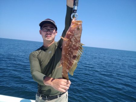 ひな丸 釣果