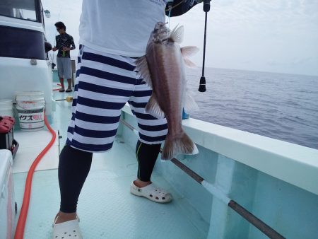 ひな丸 釣果