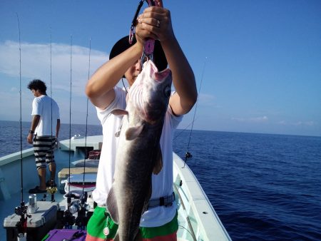 ひな丸 釣果