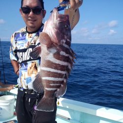 ひな丸 釣果