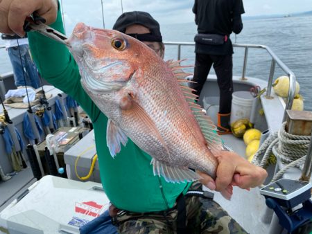 WING 釣果