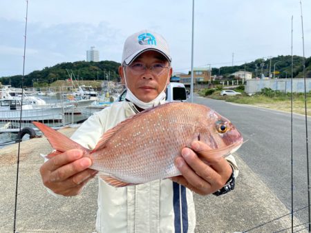 WING 釣果