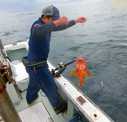 第二清洋丸 釣果