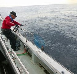 第二清洋丸 釣果