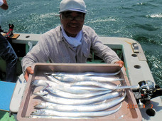 七福丸 釣果