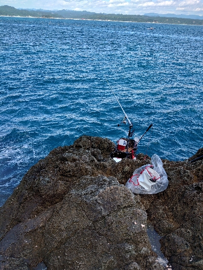 樫野でグレ釣り