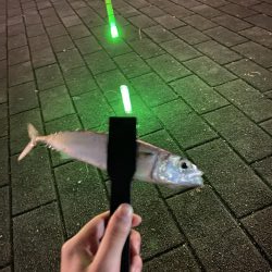 太刀魚狙い