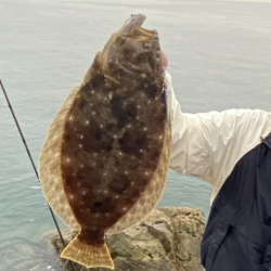 2週続けて高級魚