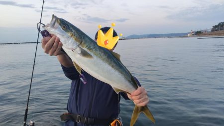 アジングのアジを飲ませて釣る！！