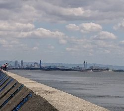 まだ渋いなぁ…