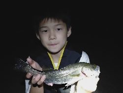 子どもと夜釣り