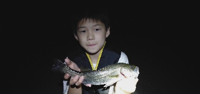 子どもと夜釣り