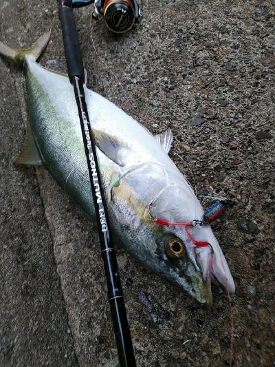 ようやく湾奥にも秋が