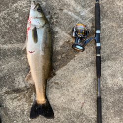 久しぶりの釣果