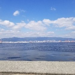 神戸沖堤防午前の部