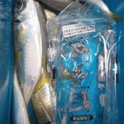 大荒アジ釣り