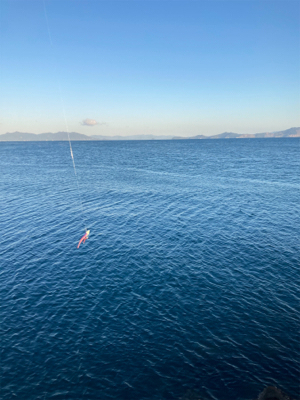 太刀魚釣行