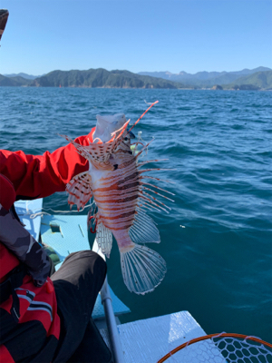 アカハタ狙いボート釣行