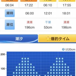 タチウオ釣れてます