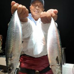 泰丸 釣果