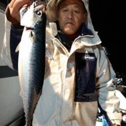 泰丸 釣果