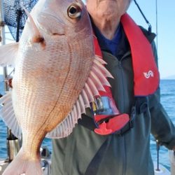 遊漁船　ニライカナイ 釣果